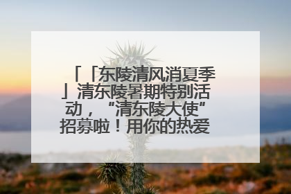 「东陵清风消夏季」清东陵暑期特别活动，“清东陵大使”招募啦！用你的热爱守护世界遗产！