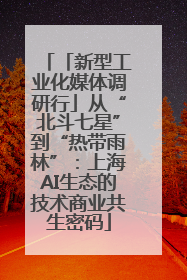 「新型工业化媒体调研行」从“北斗七星”到“热带雨林”：上海AI生态的技术商业共生密码