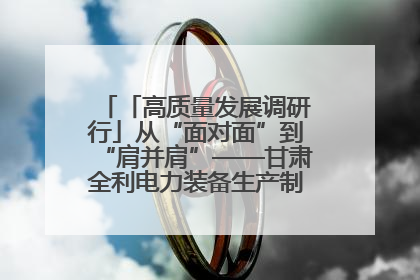 「高质量发展调研行」从“面对面”到“肩并肩”——甘肃全利电力装备生产制造项目一线见闻