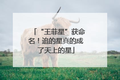 “王菲星”获命名！追的星真的成了天上的星