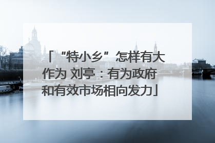 “特小乡”怎样有大作为 刘亭：有为政府和有效市场相向发力
