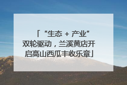 “生态 + 产业”双轮驱动，兰溪黄店开启高山西瓜丰收乐章