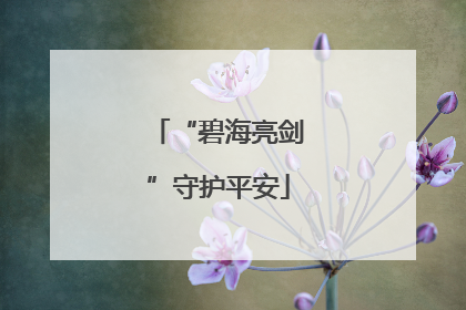“碧海亮剑”守护平安
