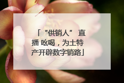 “供销人” 直播 吆喝，为土特产开辟数字销路