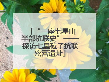 “一座七星山 半部抗联史”——探访七星砬子抗联密营遗址
