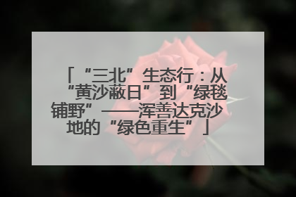 “三北”生态行：从“黄沙蔽日”到“绿毯铺野”——浑善达克沙地的“绿色重生”