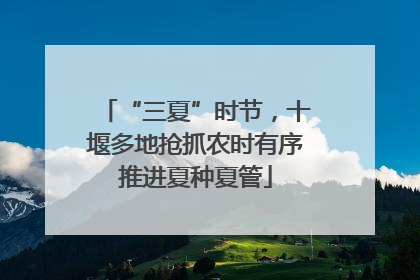 “三夏”时节，十堰多地抢抓农时有序推进夏种夏管