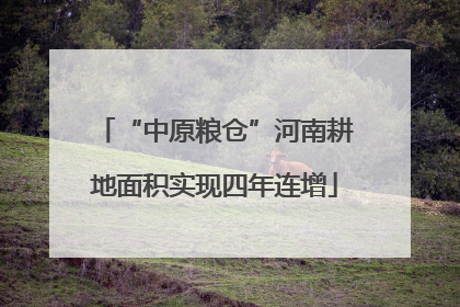 “中原粮仓”河南耕地面积实现四年连增