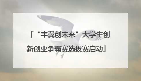 “丰翼创未来”大学生创新创业争霸赛选拔赛启动