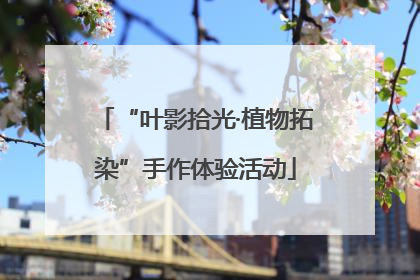 “叶影拾光·植物拓染”手作体验活动
