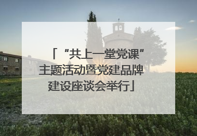 “共上一堂党课”主题活动暨党建品牌建设座谈会举行