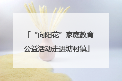 “向阳花”家庭教育公益活动走进塘村镇