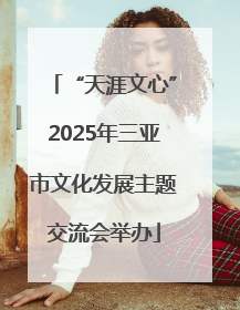 “天涯文心”2025年三亚市文化发展主题交流会举办