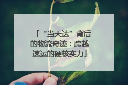 “当天达”背后的物流奇迹：跨越速运的硬核实力