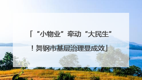 “小物业”牵动“大民生”！舞钢市基层治理显成效