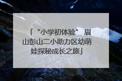 “小学初体验” 眉山彭山二小助力区幼萌娃探秘成长之旅