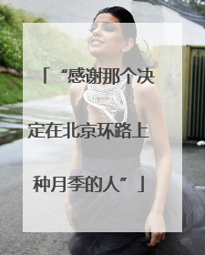 “感谢那个决定在北京环路上种月季的人”