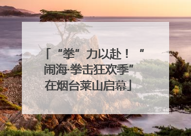 “拳”力以赴！“闹海·拳击狂欢季”在烟台莱山启幕