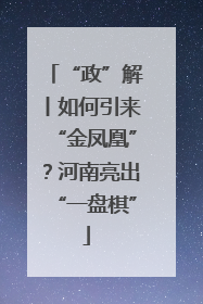 “政”解丨如何引来“金凤凰”？河南亮出“一盘棋”