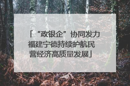 “政银企”协同发力 福建宁德持续护航民营经济高质量发展