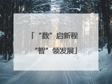 “数”启新程 “智”领发展