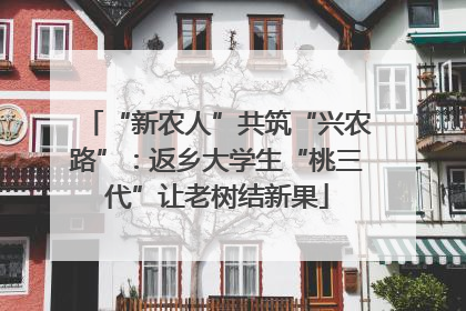 “新农人”共筑“兴农路”：返乡大学生“桃三代”让老树结新果