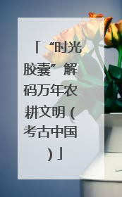 “时光胶囊”解码万年农耕文明（考古中国）