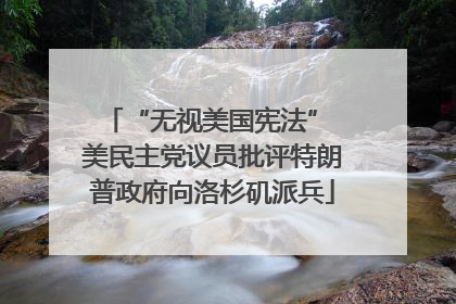 “无视美国宪法” 美民主党议员批评特朗普政府向洛杉矶派兵