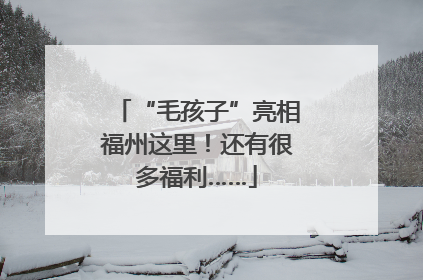 “毛孩子”亮相福州这里！还有很多福利……