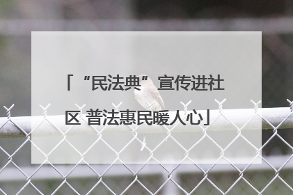 “民法典”宣传进社区 普法惠民暖人心