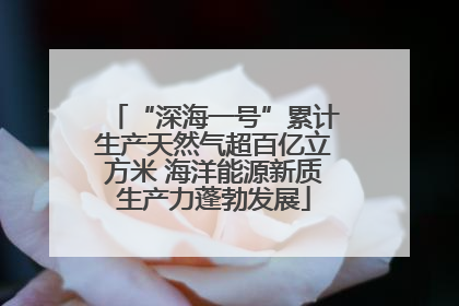 “深海一号”累计生产天然气超百亿立方米 海洋能源新质生产力蓬勃发展
