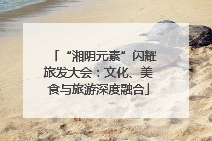 “湘阴元素”闪耀旅发大会：文化、美食与旅游深度融合