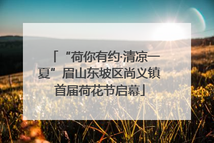 “荷你有约·清凉一夏”眉山东坡区尚义镇首届荷花节启幕