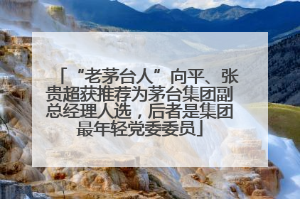 “老茅台人”向平、张贵超获推荐为茅台集团副总经理人选，后者是集团最年轻党委委员