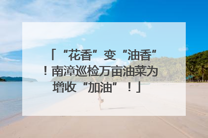 “花香”变“油香”！南漳巡检万亩油菜为增收“加油”！