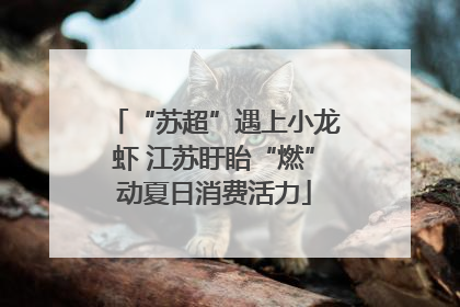 “苏超”遇上小龙虾 江苏盱眙“燃”动夏日消费活力