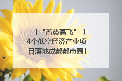 “蓄势高飞” 14个低空经济产业项目落地成都都市圈