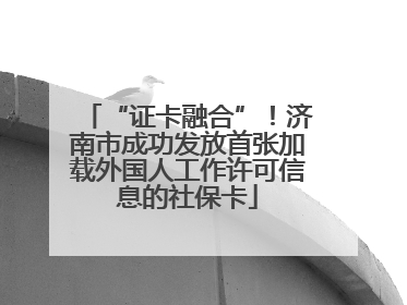 “证卡融合”！济南市成功发放首张加载外国人工作许可信息的社保卡