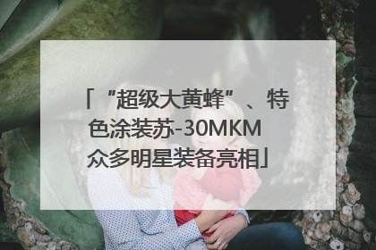 “超级大黄蜂”、特色涂装苏-30MKM 众多明星装备亮相
