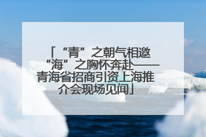 “青”之朝气相邀 “海”之胸怀奔赴——青海省招商引资上海推介会现场见闻