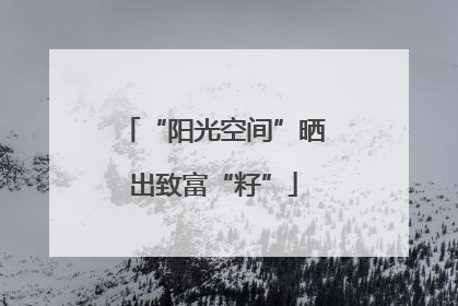 “阳光空间”晒出致富“籽”