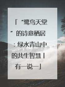 “鹭鸟天堂”的诗意栖居：绿水青山中的共生智慧丨有一说一