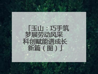 玉山：巧手筑梦展劳动风采 科创赋能谱成长新篇（图）