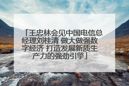 王忠林会见中国电信总经理刘桂清 做大做强数字经济 打造发展新质生产力的强劲引擎