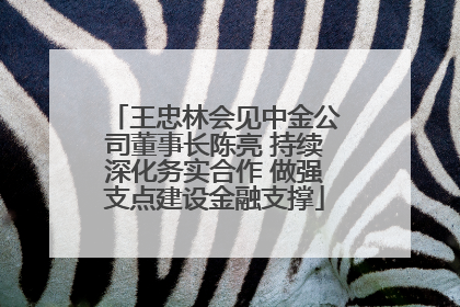 王忠林会见中金公司董事长陈亮 持续深化务实合作 做强支点建设金融支撑