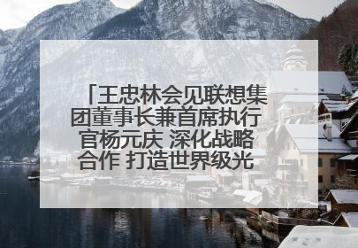 王忠林会见联想集团董事长兼首席执行官杨元庆 深化战略合作 打造世界级光电子信息产业集群