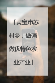 灵宝市苏村乡：做强做优特色农业产业