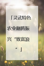灵武特色农业翻腾振兴“致富浪”