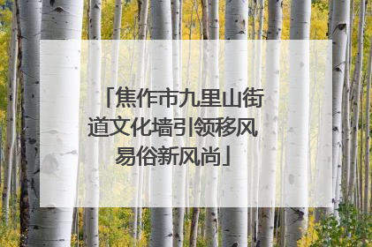 焦作市九里山街道文化墙引领移风易俗新风尚