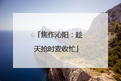焦作沁阳：趁天抢时麦收忙